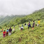 सेङलेङ चिया बगानमा गोडमेल गरि भूमिकास्थानले मनायो अन्तराष्ट्रिय युवा दिवस